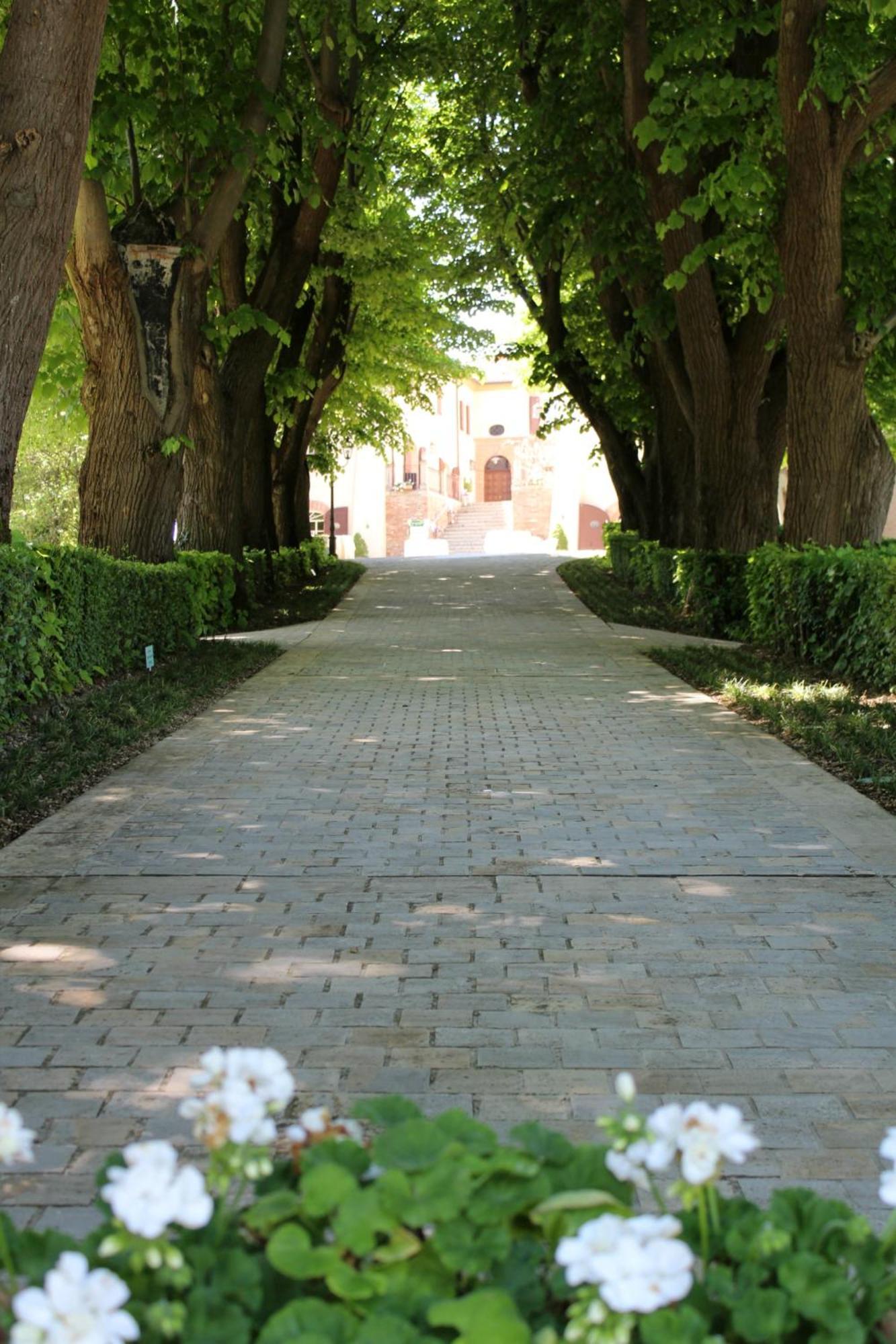 Bed and Breakfast Palazzo Del Poggiano Poggio Berni Exteriér fotografie
